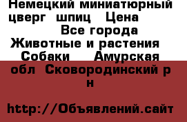 Немецкий миниатюрный(цверг) шпиц › Цена ­ 50 000 - Все города Животные и растения » Собаки   . Амурская обл.,Сковородинский р-н